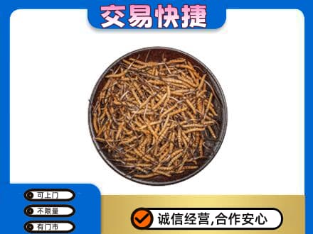 巢湖市回收散虫草