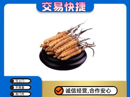 巢湖市回收冬虫夏草多少钱每克